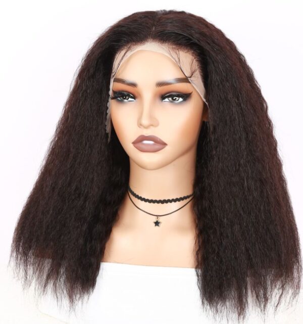 Kinky Straight Lace Front Wig